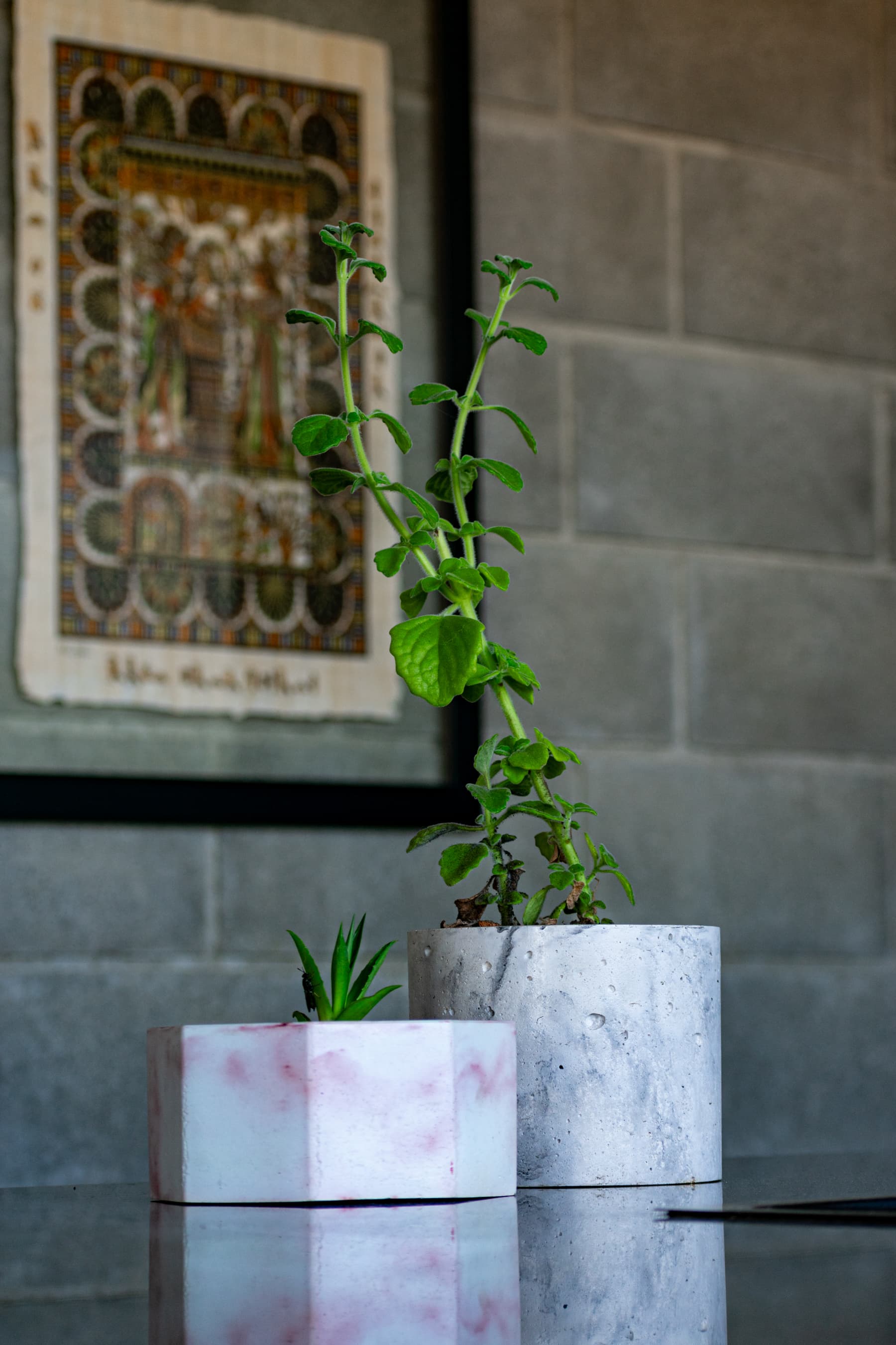 Maceta de concreto blanco con una planta alta, junto a una maceta hexagonal de concreto rosado con una suculenta
