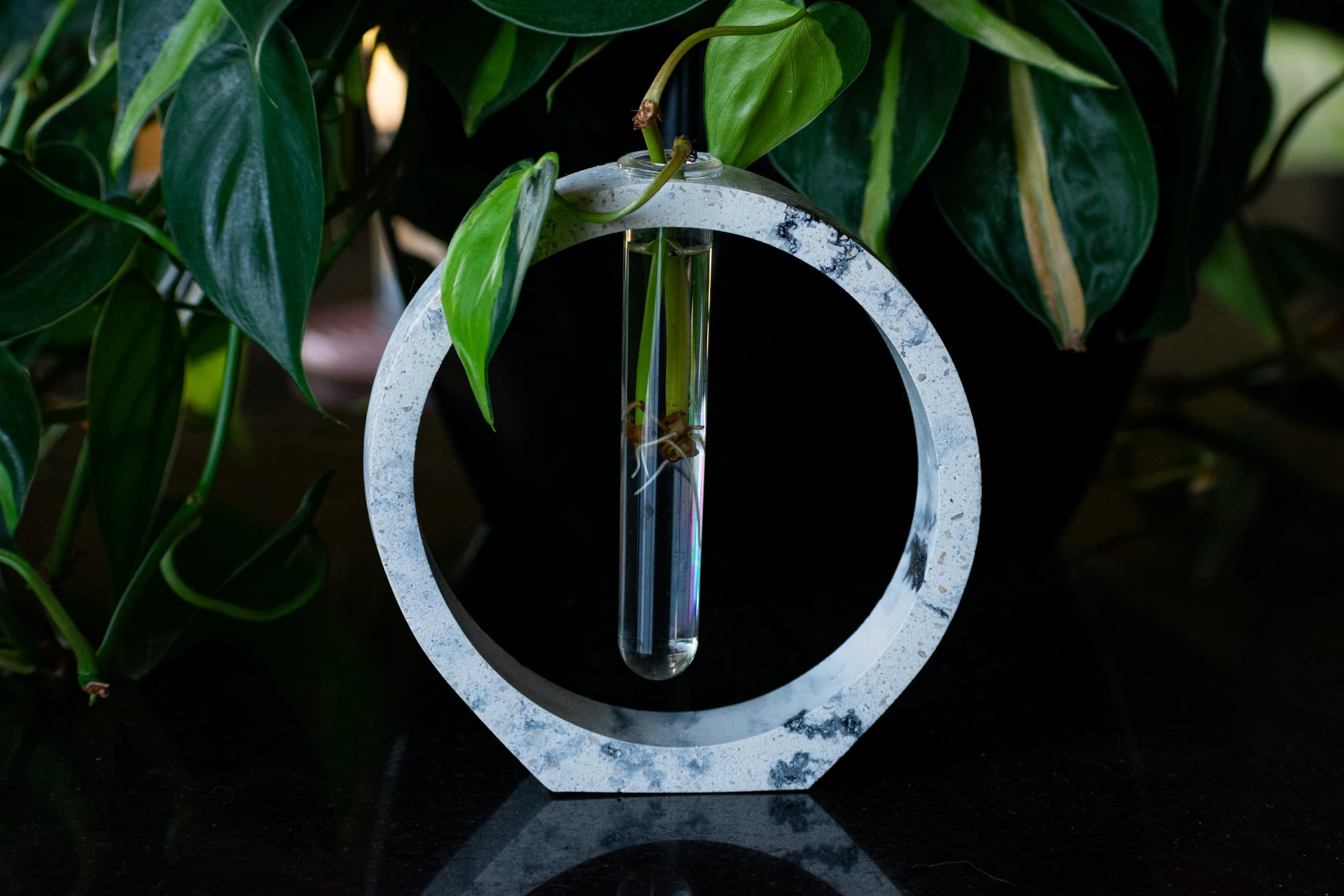 Soporte circular de concreto con un tubo de vidrio para propagar un esqueje en agua, entre plantas