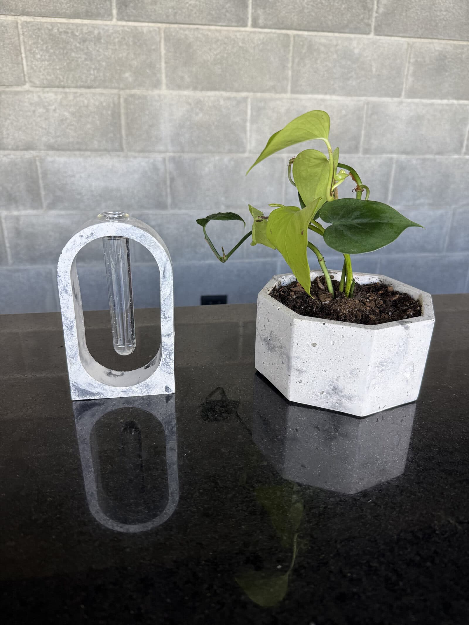 Kit Origen Completo: soporte ovalado de concreto con tubo de vidrio junto a una maceta octagonal con un potus