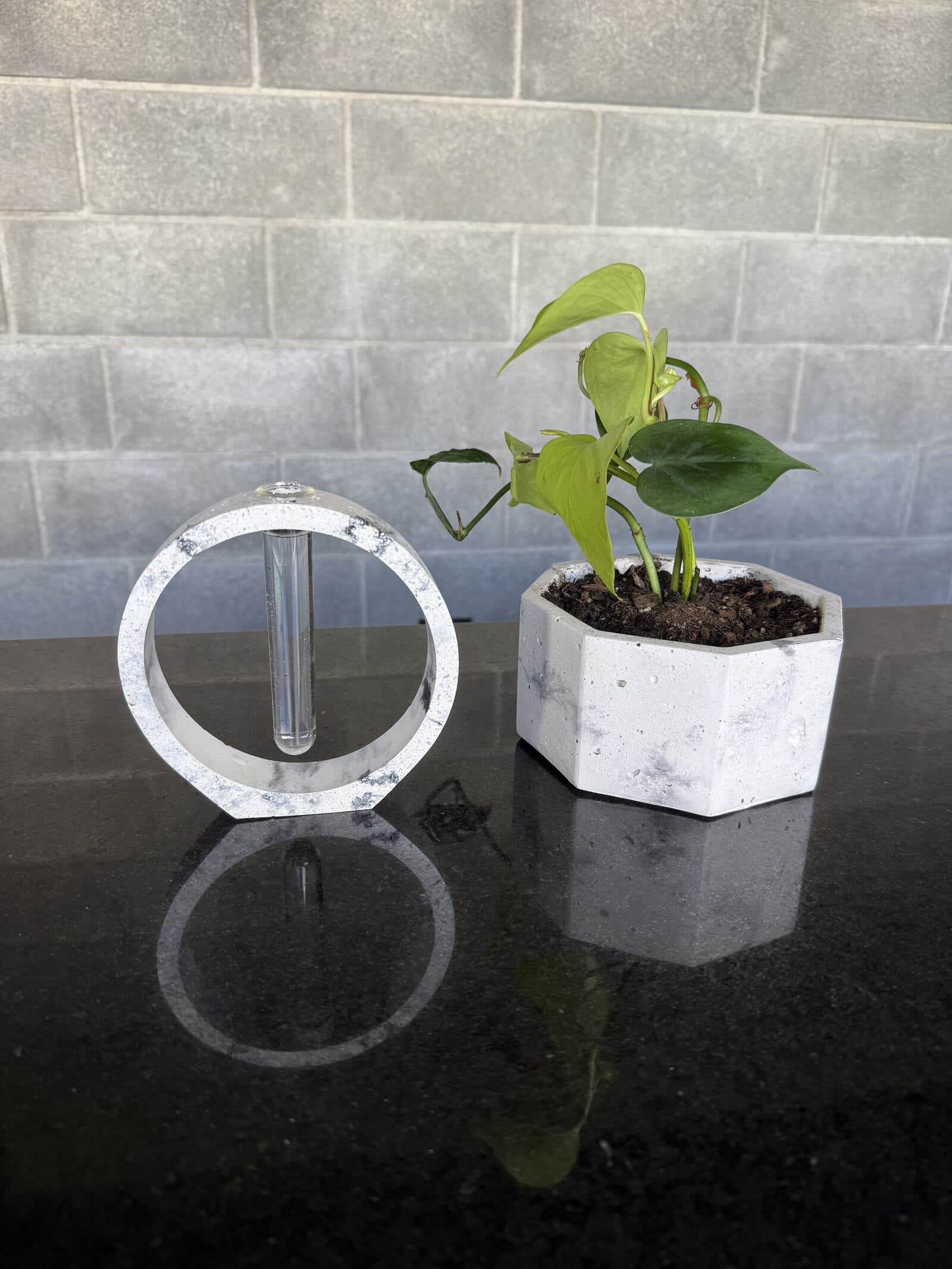 Kit Origen Completo: soporte circular de concreto con tubo de vidrio junto a una maceta octagonal con un potus