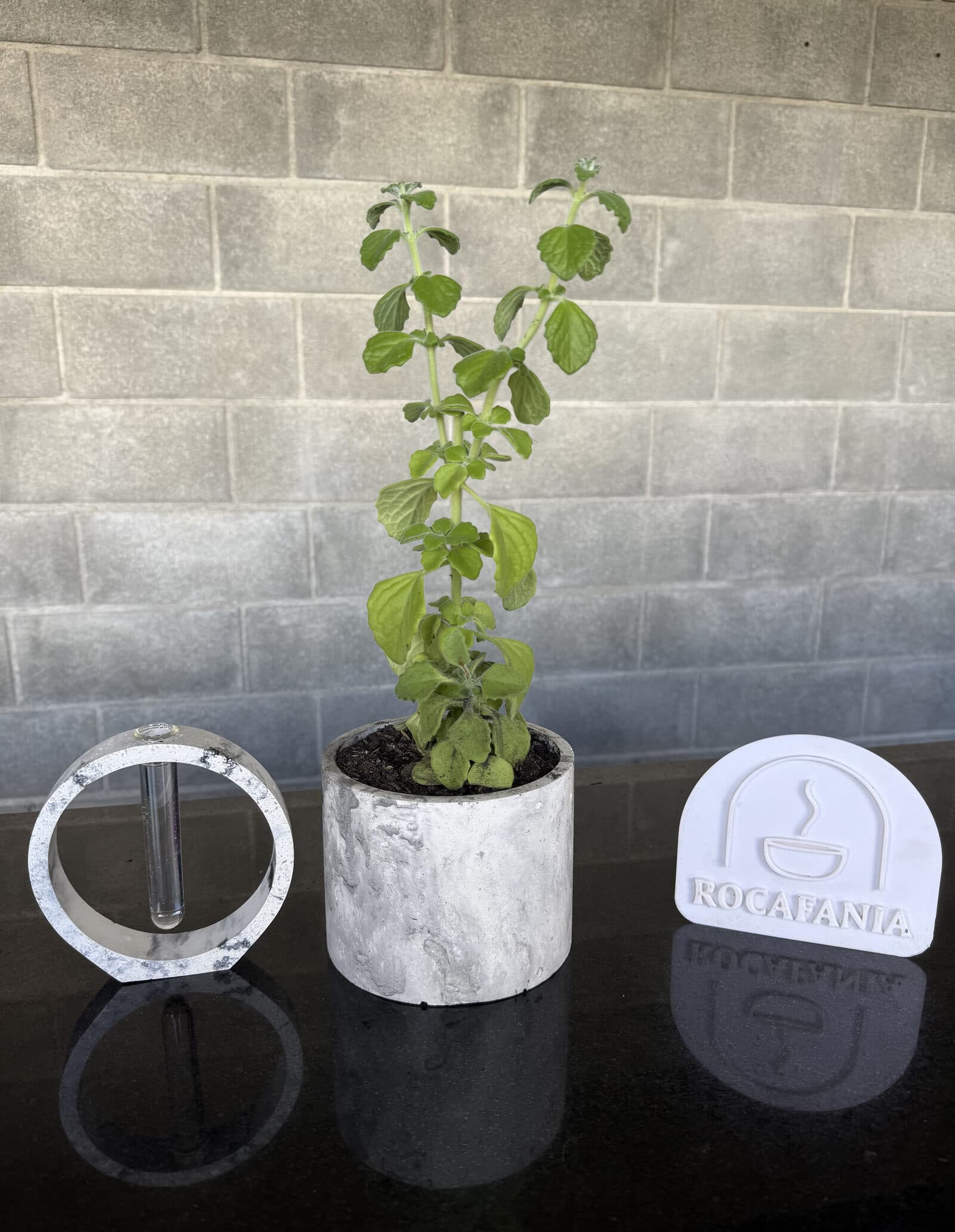 Kit Origen Completo: soporte circular y maceta cilíndrica de concreto con una planta, junto al logo de Rocafania